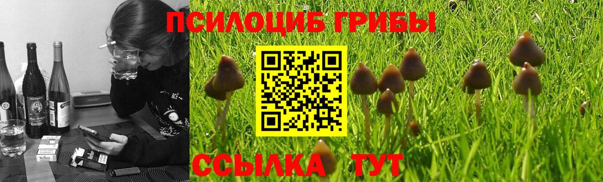 Галлюциногенные грибы Magic Shrooms  Вход с VPN  Конаково 