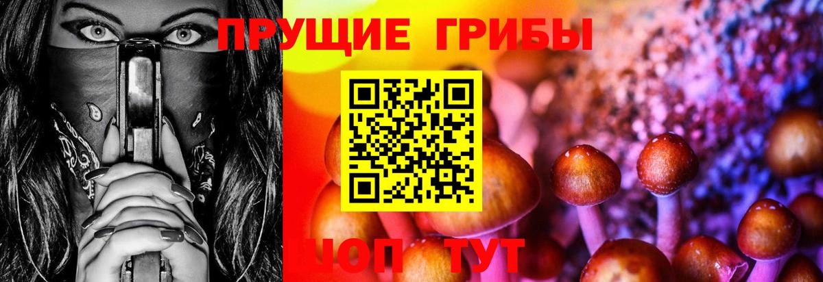 Галлюциногенные грибы GOLDEN TEACHER Конаково